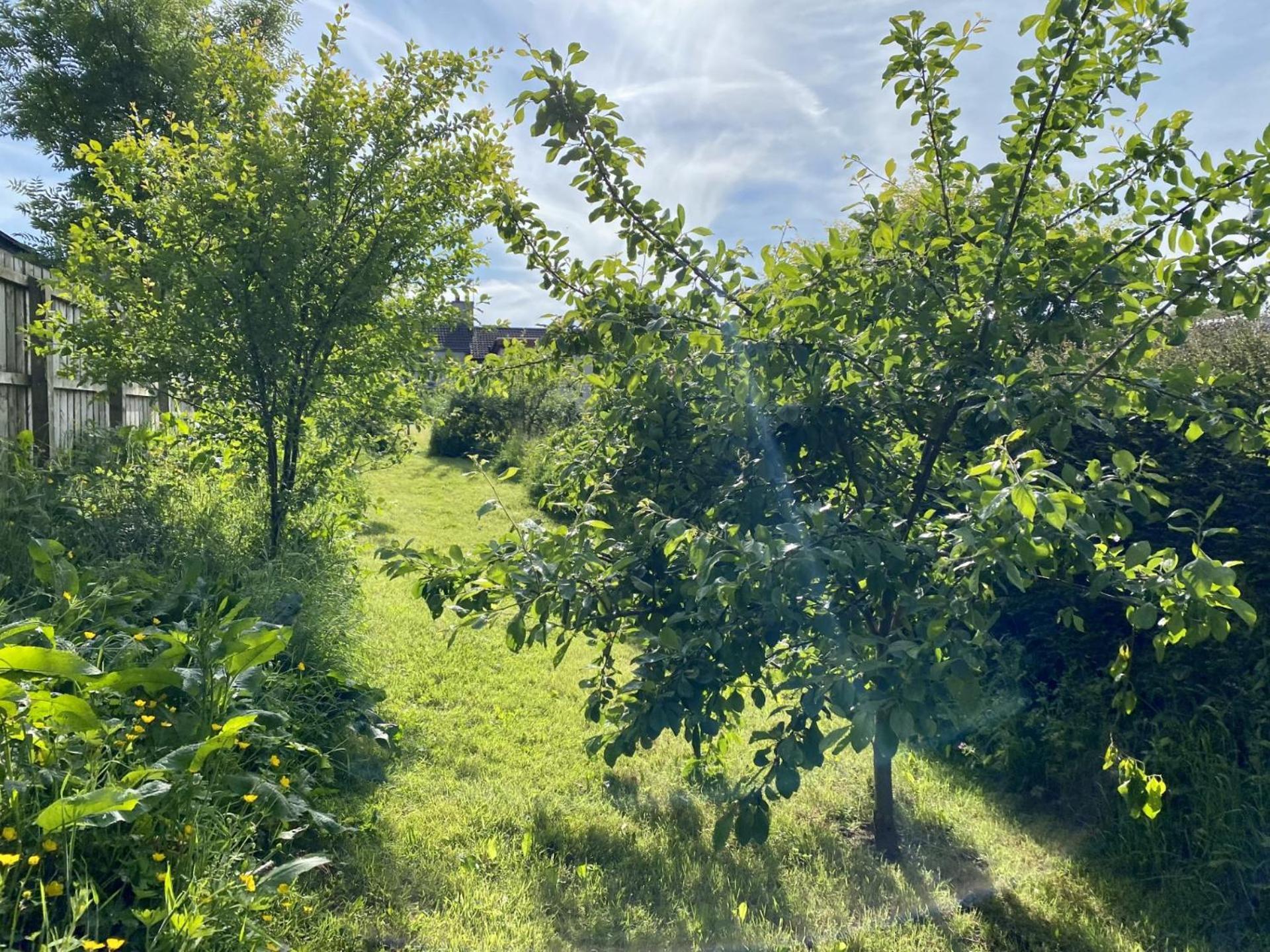 Fairhill Cottage Perfect Location With Garden In Central Ballycastle Exterior photo